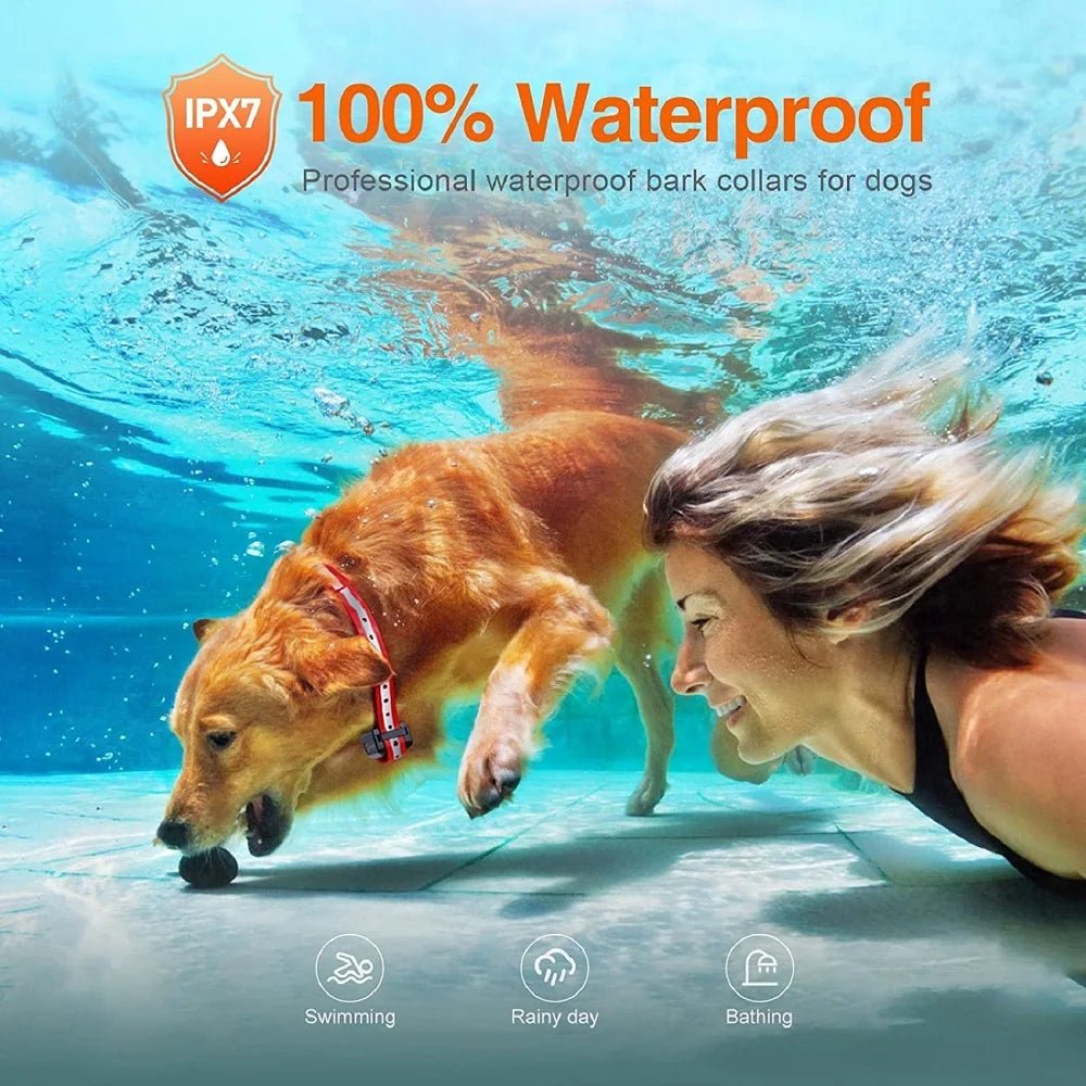 1000M Dog Training Collar ,Universal Dog Bark Collar,Waterproof Rechargeable ,Dog Shock Collar with Remote and Auto Modes Collar - Lily.sg Global Shopping