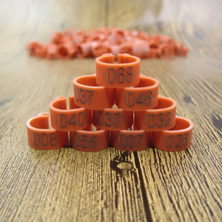 100pcs Bird Clip Ring ID 8mm Plastic Digital Markup Parrot Pigeons 10 Colors Marking Ring 8mm Bird Training Foot Ring 001 - 100 - Lily.sg Global Shopping