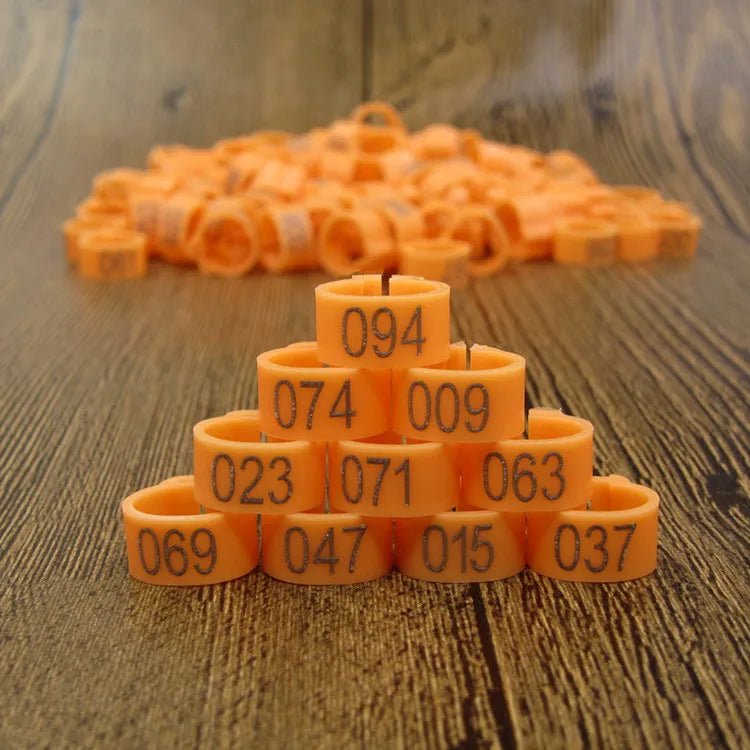 100pcs Bird Clip Ring ID 8mm Plastic Digital Markup Parrot Pigeons 10 Colors Marking Ring 8mm Bird Training Foot Ring 001 - 100 - Lily.sg Global Shopping