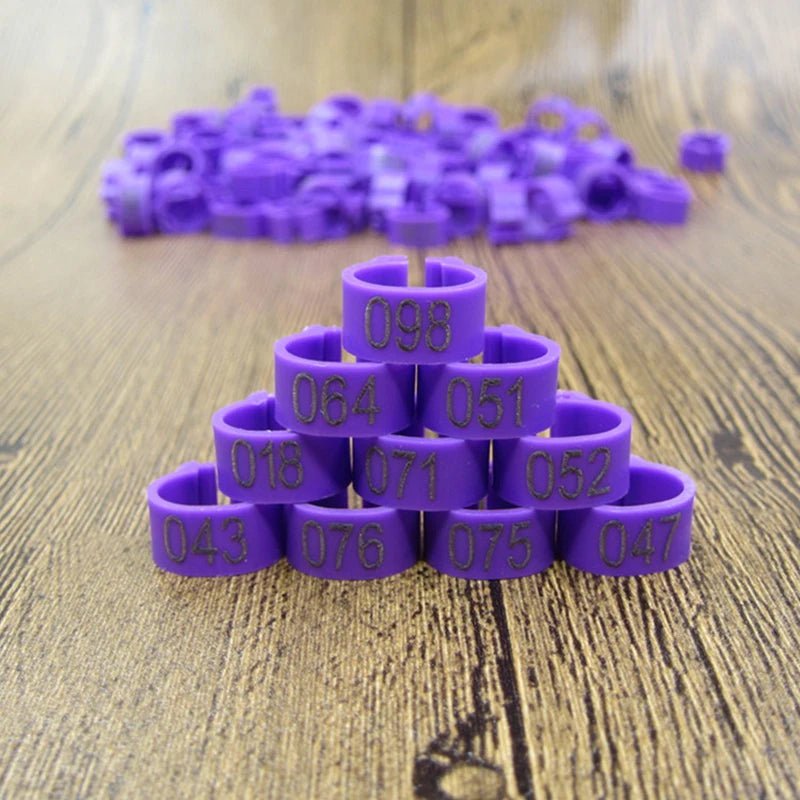 100pcs Bird Clip Ring ID 8mm Plastic Digital Markup Parrot Pigeons 10 Colors Marking Ring 8mm Bird Training Foot Ring 001 - 100 - Lily.sg Global Shopping