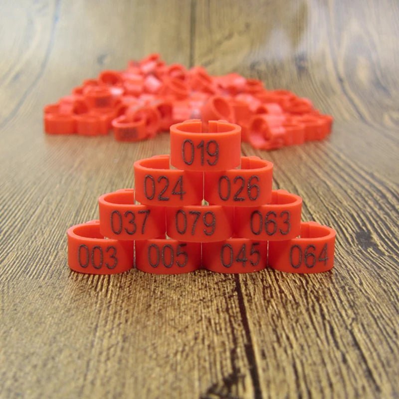 100pcs Bird Clip Ring ID 8mm Plastic Digital Markup Parrot Pigeons 10 Colors Marking Ring 8mm Bird Training Foot Ring 001 - 100 - Lily.sg Global Shopping