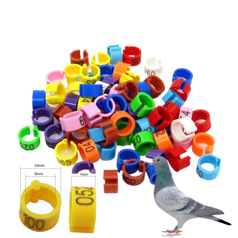 100pcs Bird Clip Ring ID 8mm Plastic Digital Markup Parrot Pigeons 10 Colors Marking Ring 8mm Bird Training Foot Ring 001 - 100 - Lily.sg Global Shopping