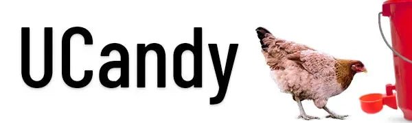 10/20/30Pcs Chicken Waterer Cups Chicken Feeder Cup for Chicken Duck Turkey Rabbit,3/8 Inch Thread Poultry Watering Feeder - Lily.sg Global Shopping