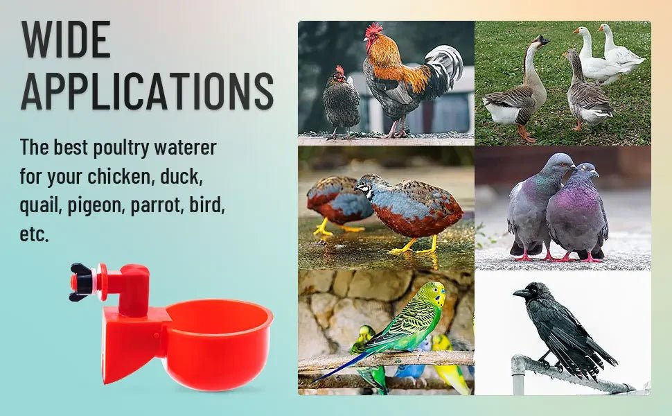 10/20/30Pcs Chicken Waterer Cups Chicken Feeder Cup for Chicken Duck Turkey Rabbit,3/8 Inch Thread Poultry Watering Feeder - Lily.sg Global Shopping