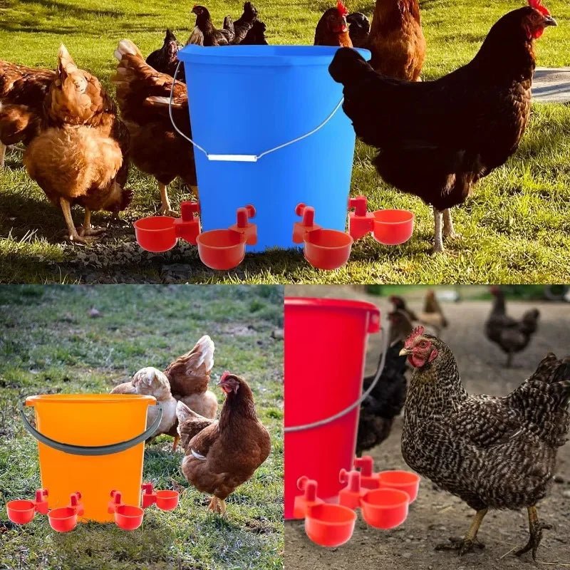 10/20/30Pcs Chicken Waterer Cups Chicken Feeder Cup for Chicken Duck Turkey Rabbit,3/8 Inch Thread Poultry Watering Feeder - Lily.sg Global Shopping