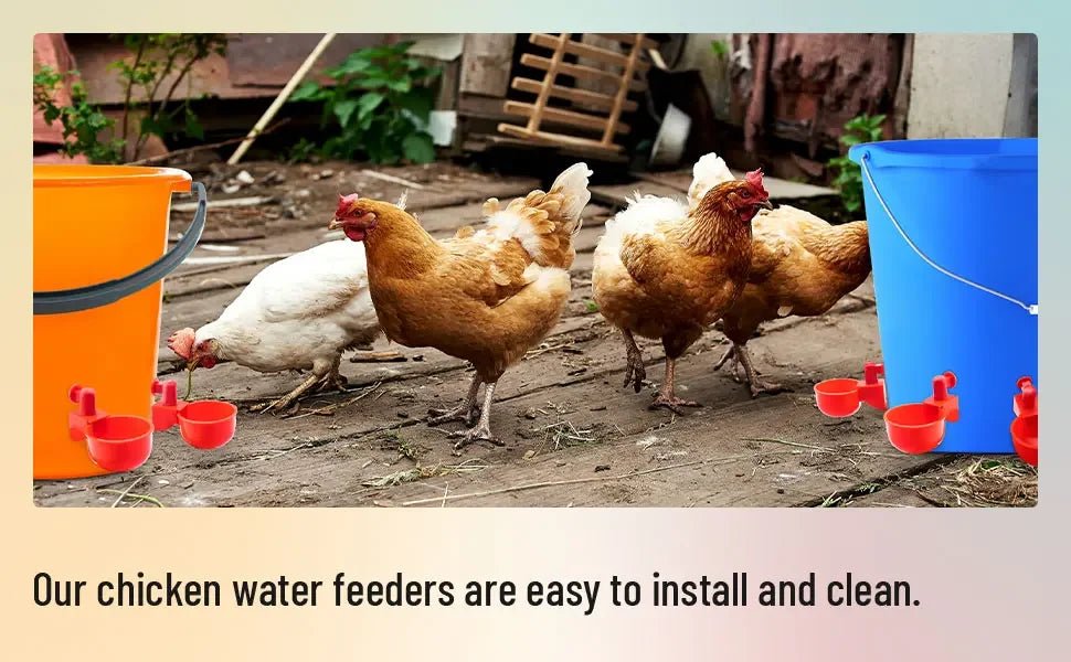 10/20/30Pcs Chicken Waterer Cups Chicken Feeder Cup for Chicken Duck Turkey Rabbit,3/8 Inch Thread Poultry Watering Feeder - Lily.sg Global Shopping