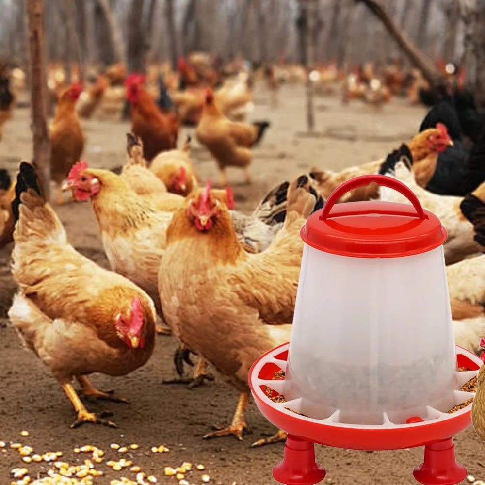 1Pc 1.5kg/3L Automatic Chicken Feeder Bucket Drinker Bucket With Leg Plastic Water Bucket for Duck Farm Chick Coop Water Supply - Lily.sg Global Shopping
