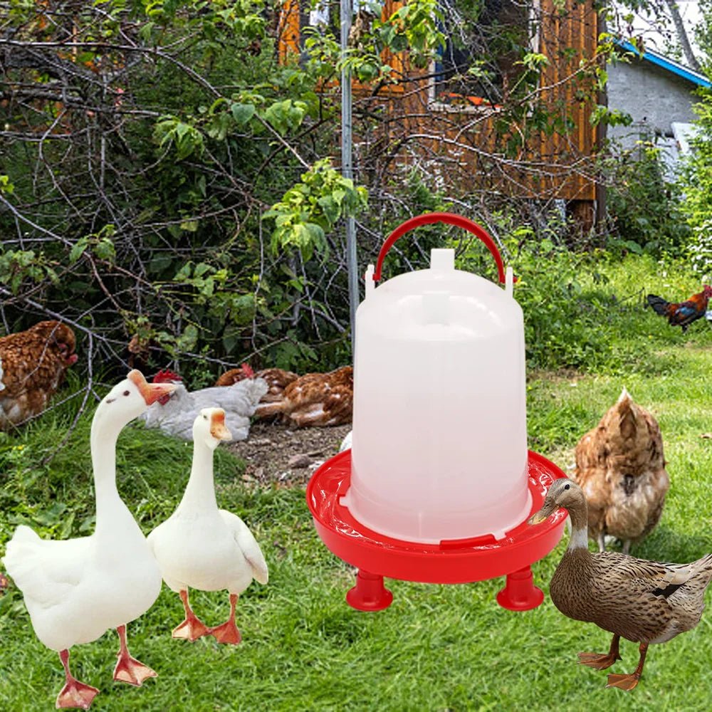 1Pc 1.5kg/3L Automatic Chicken Feeder Bucket Drinker Bucket With Leg Plastic Water Bucket for Duck Farm Chick Coop Water Supply - Lily.sg Global Shopping