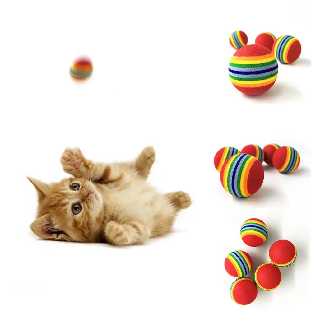 1Pcs Colorful Pet Rainbow Foam Fetch Balls Training Interactive Dog Funny Toy - Lily.sg Global Shopping