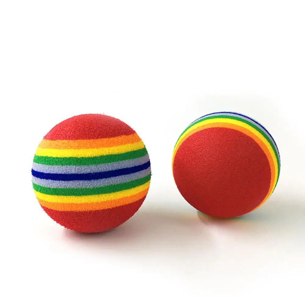 1Pcs Colorful Pet Rainbow Foam Fetch Balls Training Interactive Dog Funny Toy - Lily.sg Global Shopping