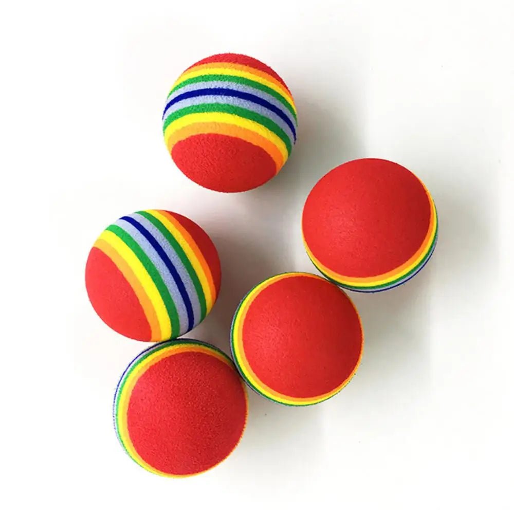 1Pcs Colorful Pet Rainbow Foam Fetch Balls Training Interactive Dog Funny Toy - Lily.sg Global Shopping