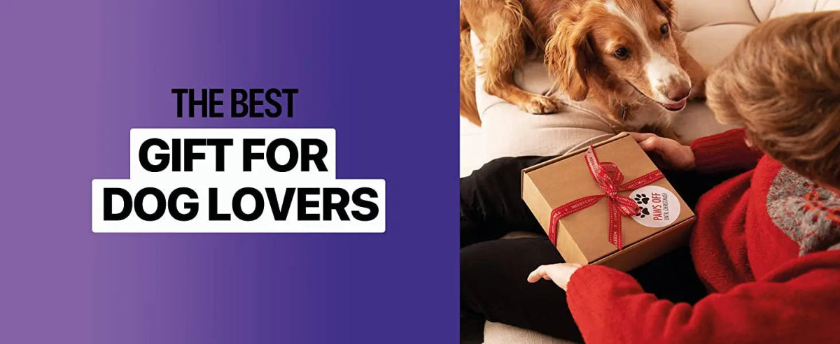 2023 Release Pet Dog Repeller Ultrasonic Dog Training Device Rechargeable Anti Dog Bark Deterrent Device With LED Flashlight - Lily.sg Global Shopping