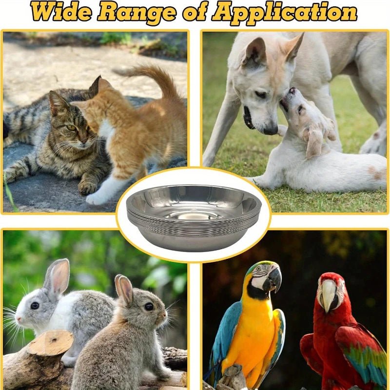 2/6pcs Slip Resistant Stainless Steel Cat Bowl – Low - Profile Wide Design for Kittens Small Pets Anti - Tip Base Feeding Station - Lily.sg Global Shopping