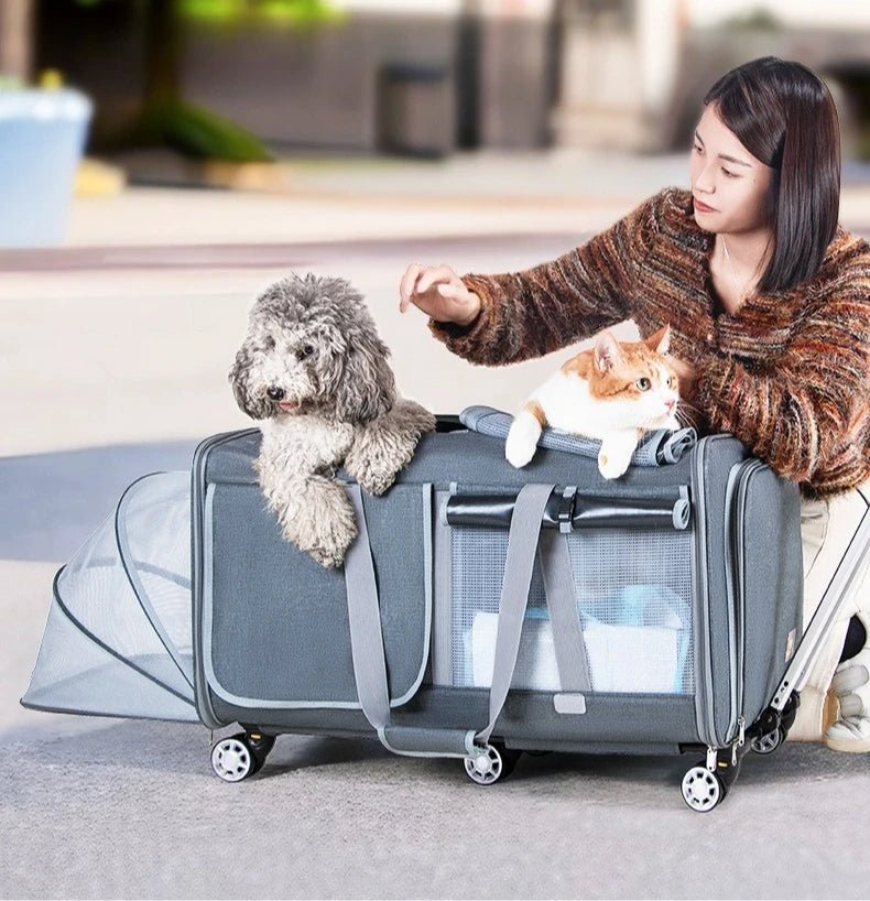 30kg Heavy - Duty Foldable Pet Carrier for Dogs/Cats - All - Terrain Trolley with Removable Wheels, Breathable XXL Travel Stroller - Lily.sg Global Shopping
