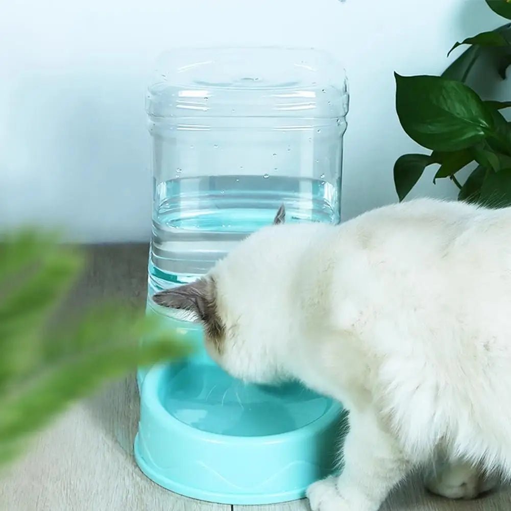 3.8L PP Material Pet Large Capacity Cat Dog Food Dispenser For Cat Dog Water Drinking Feeding Dispenser Water Bowl Accessories - Lily.sg Global Shopping