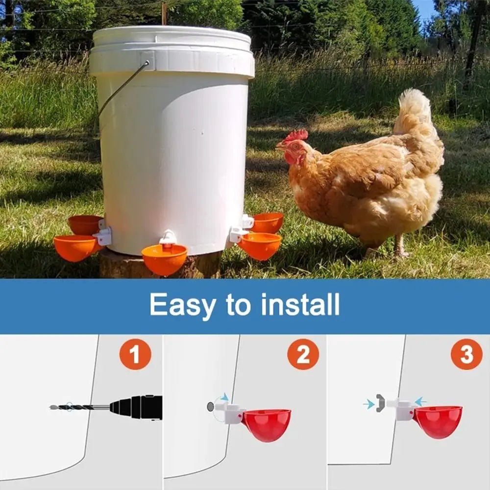 4PCS Poultry Kit Automatic Chicken Water Feeder Automatic Drinking Bowl Feeding Watering Supplie Chicken Waterer - Lily.sg Global Shopping