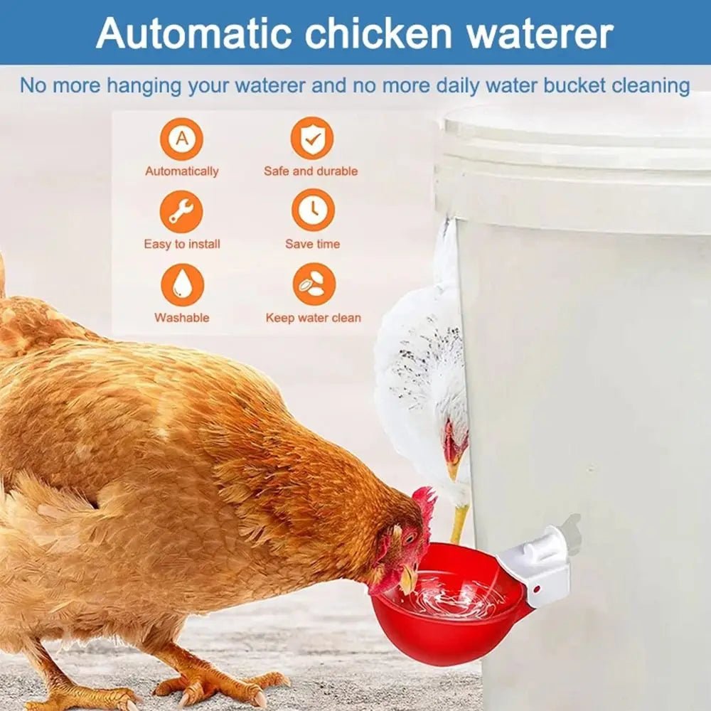 4PCS Poultry Kit Automatic Chicken Water Feeder Automatic Drinking Bowl Feeding Watering Supplie Chicken Waterer - Lily.sg Global Shopping