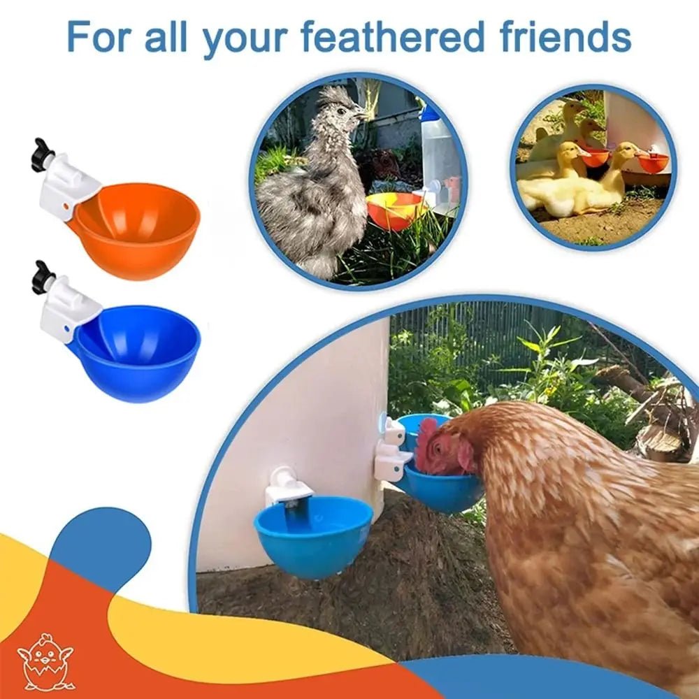 4PCS Poultry Kit Automatic Chicken Water Feeder Automatic Drinking Bowl Feeding Watering Supplie Chicken Waterer - Lily.sg Global Shopping