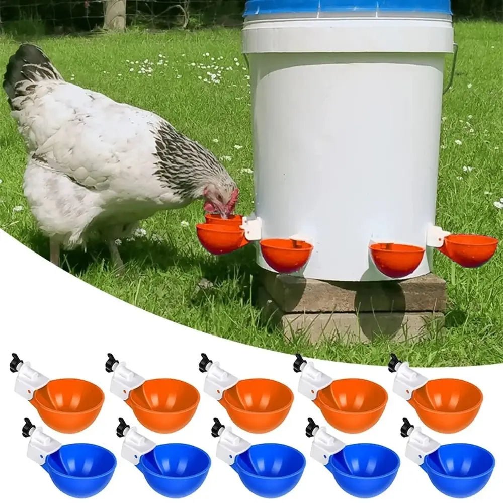 4PCS Poultry Kit Automatic Chicken Water Feeder Automatic Drinking Bowl Feeding Watering Supplie Chicken Waterer - Lily.sg Global Shopping
