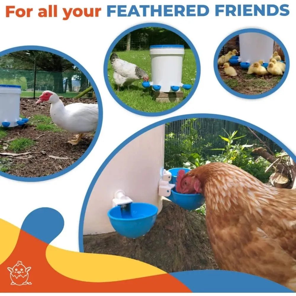 5PCS Poultry Kit Automatic Chicken Water Feeder Automatic Drinking Bowl Feeding Watering Supplie Chicken Waterer - Lily.sg Global Shopping