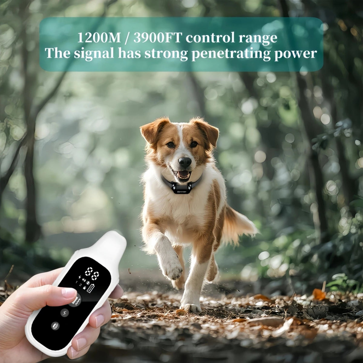 800m Digital Dog Training Collar Waterproof Rechargeable Remote Control Pet with LCD Display for All Size Shock Vibration Sound - Lily.sg Global Shopping