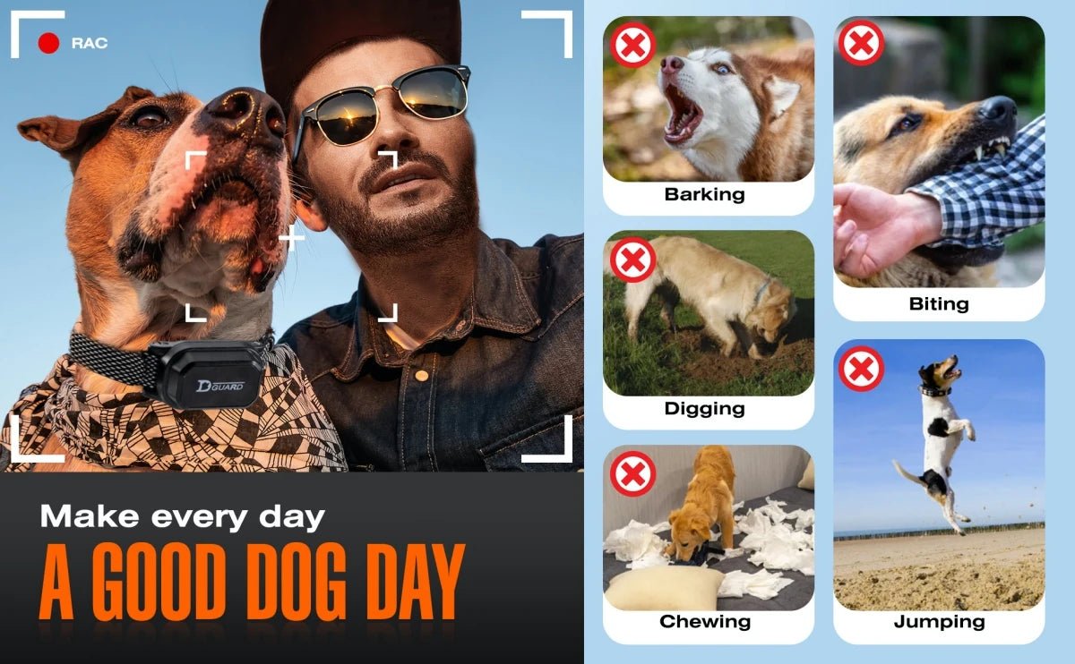 800m Digital Dog Training Collar Waterproof Rechargeable Remote Control Pet with LCD Display for All Size Shock Vibration Sound - Lily.sg Global Shopping