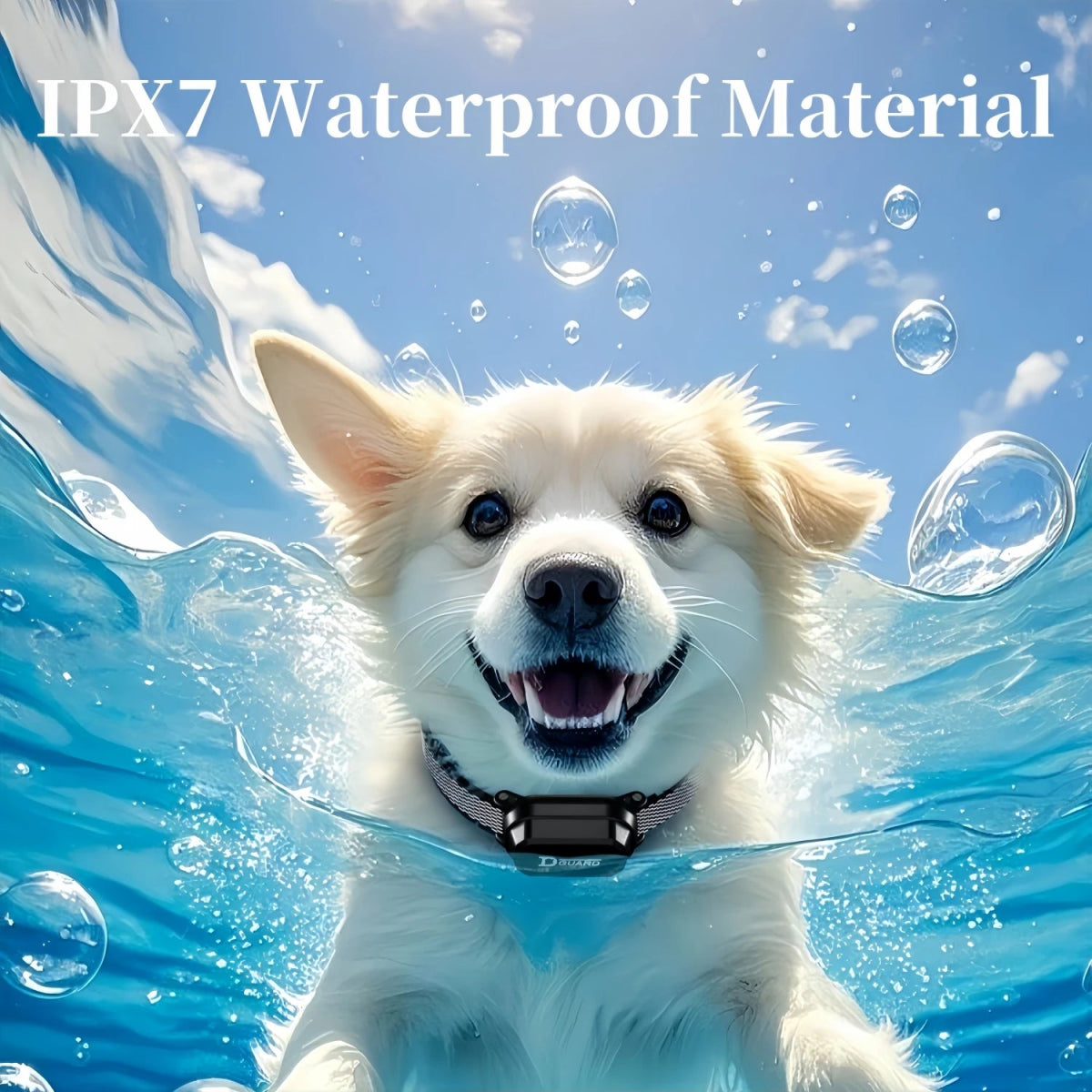 800m Digital Dog Training Collar Waterproof Rechargeable Remote Control Pet with LCD Display for All Size Shock Vibration Sound - Lily.sg Global Shopping