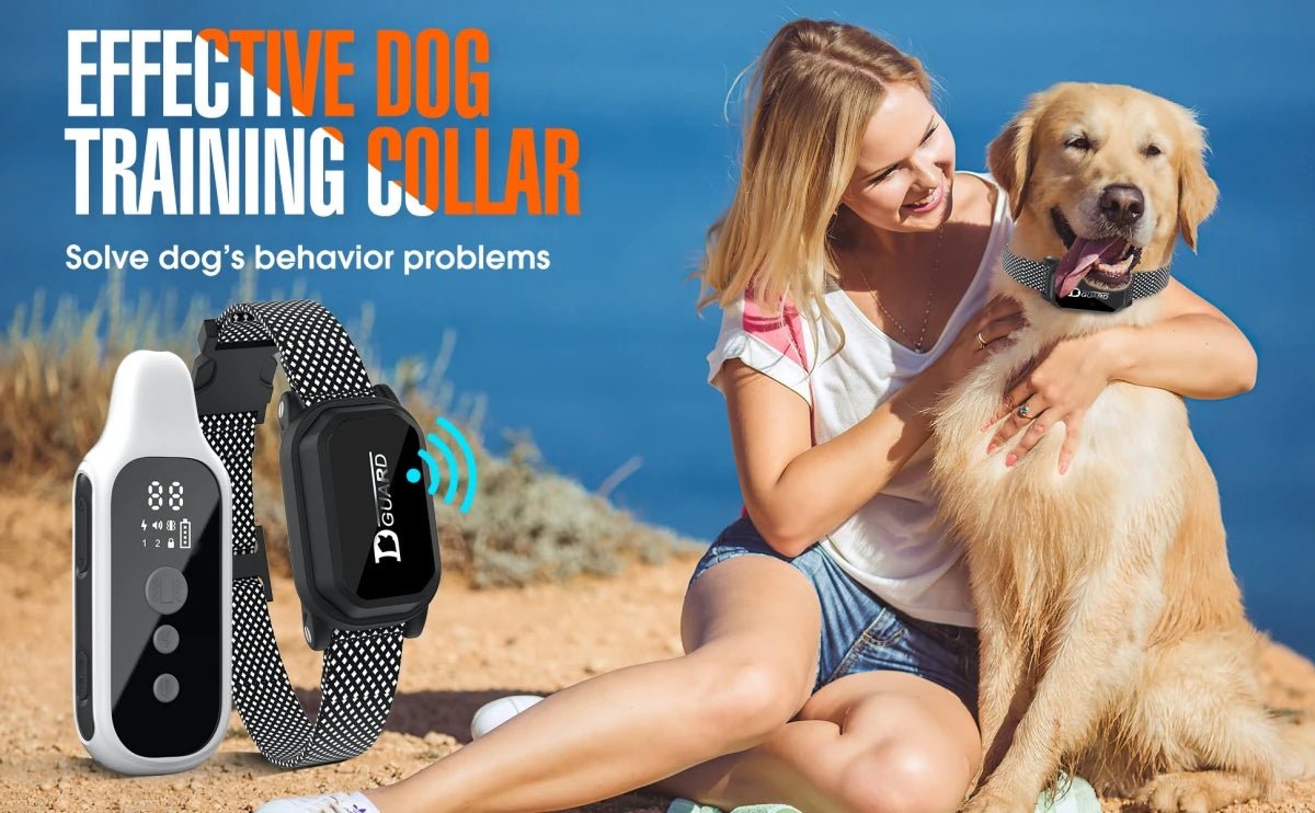 800m Digital Dog Training Collar Waterproof Rechargeable Remote Control Pet with LCD Display for All Size Shock Vibration Sound - Lily.sg Global Shopping