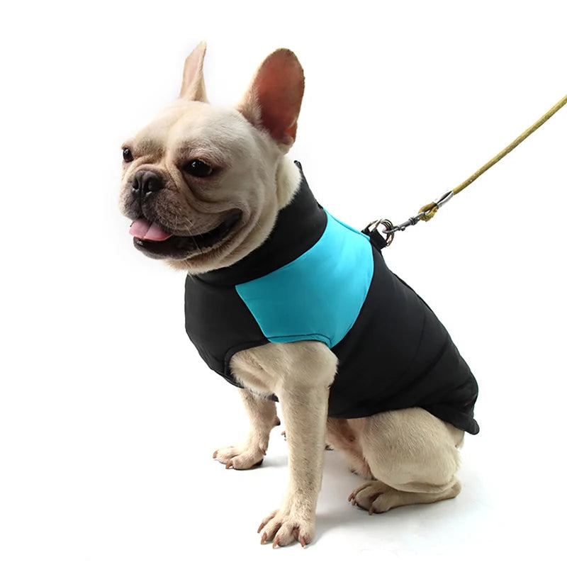 Winter Warm Waterproof Dog Jacket for Small Medium Large Dogs Clothes Chihuahua Vest Labrador French Bulldog Costume Pet Apparel