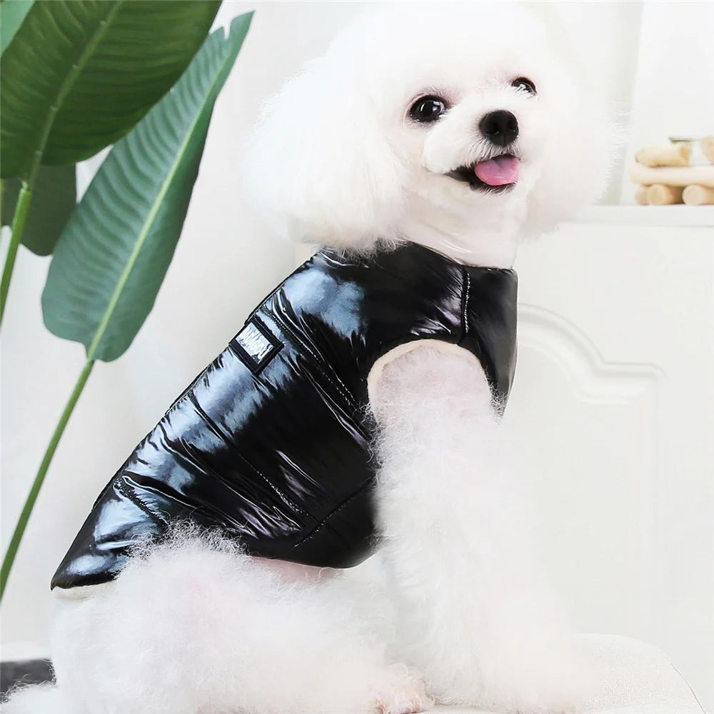 Pet Cats Dog Clothes Winter Warm Down Jacket For Small Dogs Cotton Chihuahua Hooded Clothes Dog Windproof Clothing Coat Apparel