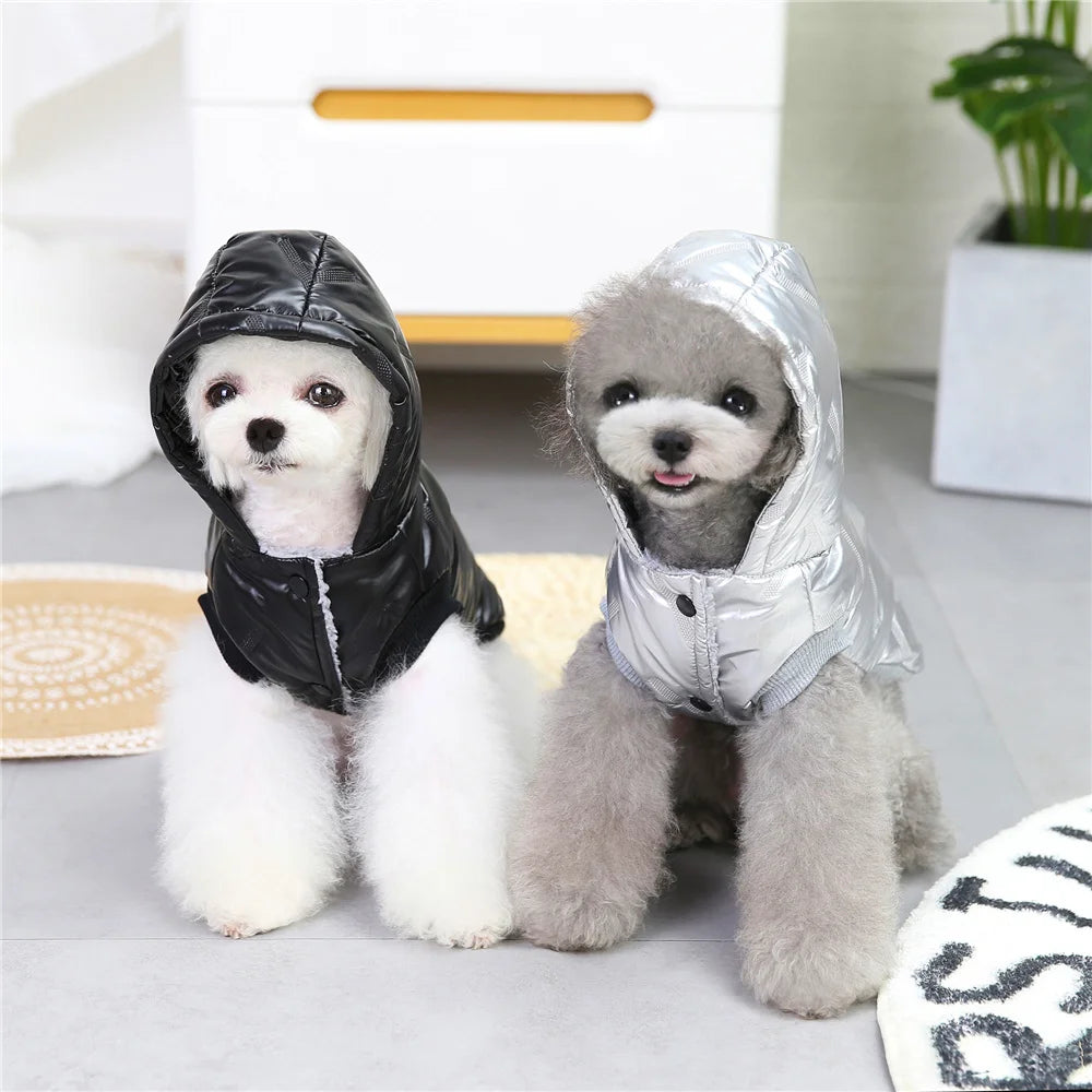Pet Cats Dog Clothes Winter Warm Down Jacket For Small Dogs Cotton Chihuahua Hooded Clothes Dog Windproof Clothing Coat Apparel