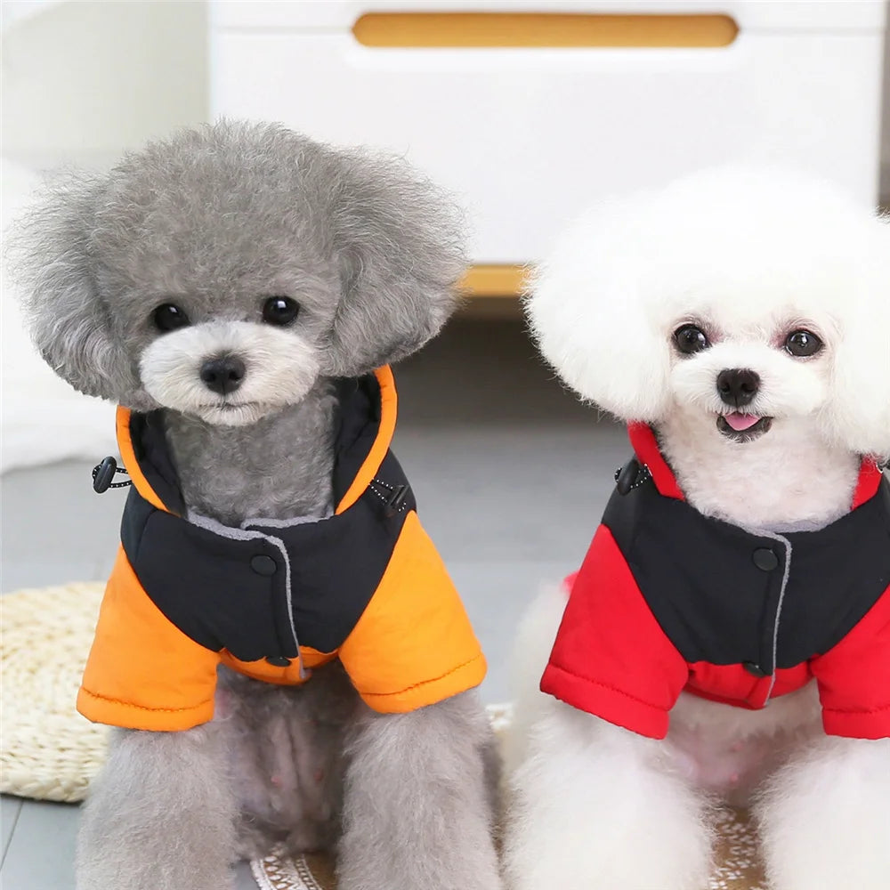 Pet Cats Dog Clothes Winter Warm Down Jacket For Small Dogs Cotton Chihuahua Hooded Clothes Dog Windproof Clothing Coat Apparel