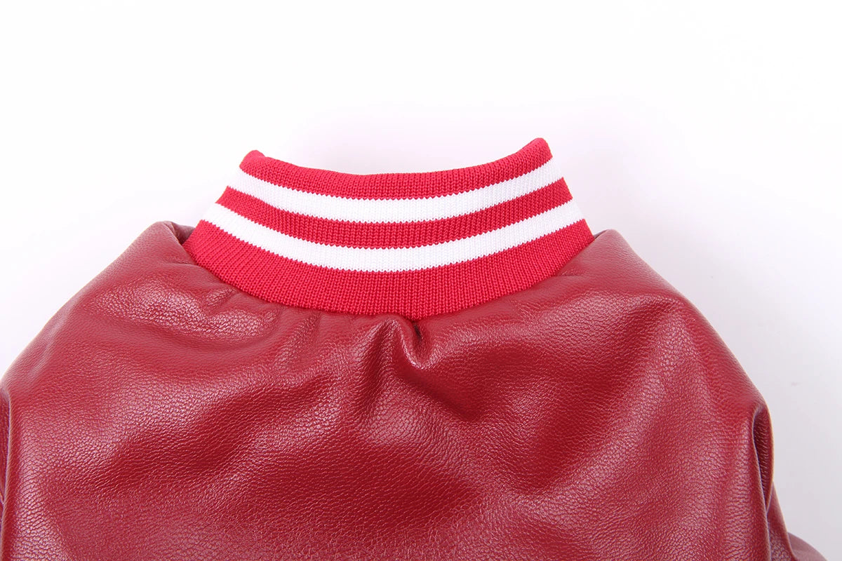 Winter Dog Coat Jacket Faux Leather Fleece Teddy Warm Pet Puppy Clothing Apparel