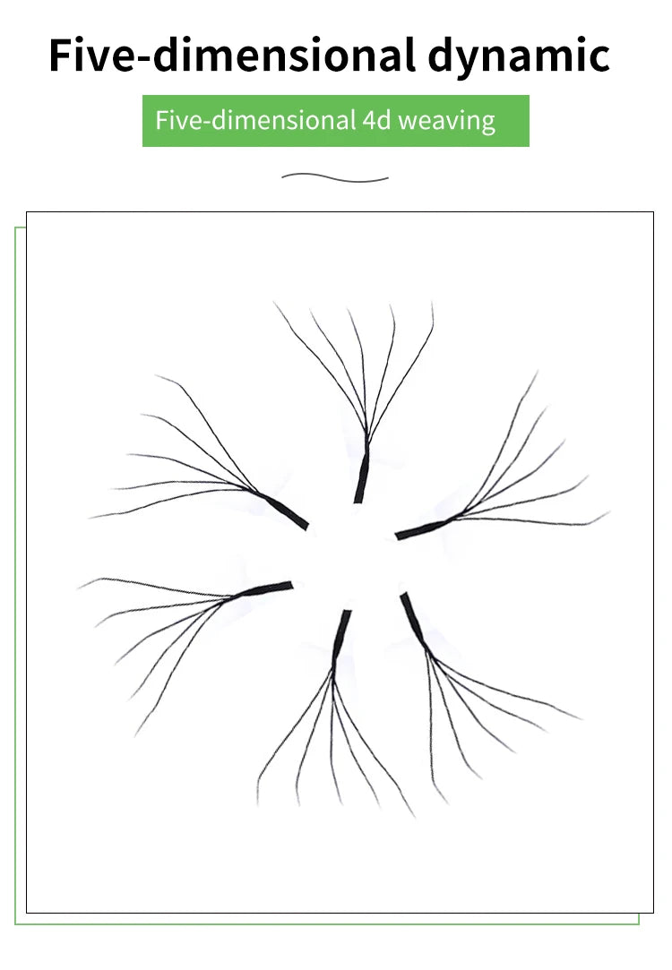 MARIA 5D W Lashes Easy Fan Eyelash Extensions Wholesales Y Premade Volume 12 Rows W Style Natural Soft Private Logo