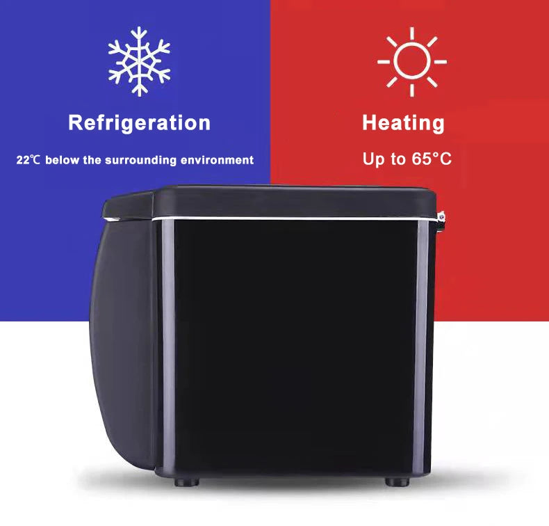 6L Portable Vehicle Refrigerator Mini Car Fridge Incubator Use For Cooling Heating Truck Dormitory Beauty Maquillage