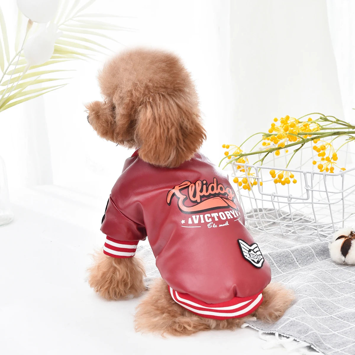 Winter Dog Coat Jacket Faux Leather Fleece Teddy Warm Pet Puppy Clothing Apparel