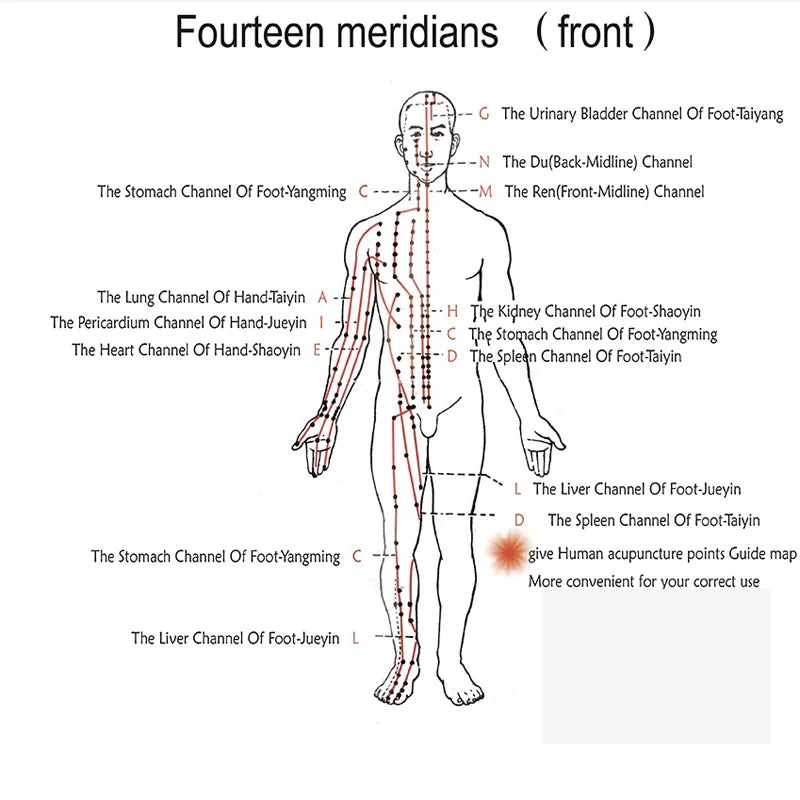 Upgrade SDZ-Ⅱ Acupuncture Stimulator Device Acupoint Electronic Acupuncturist 6 output Acupressure Relax Apparatus  EMS Massager