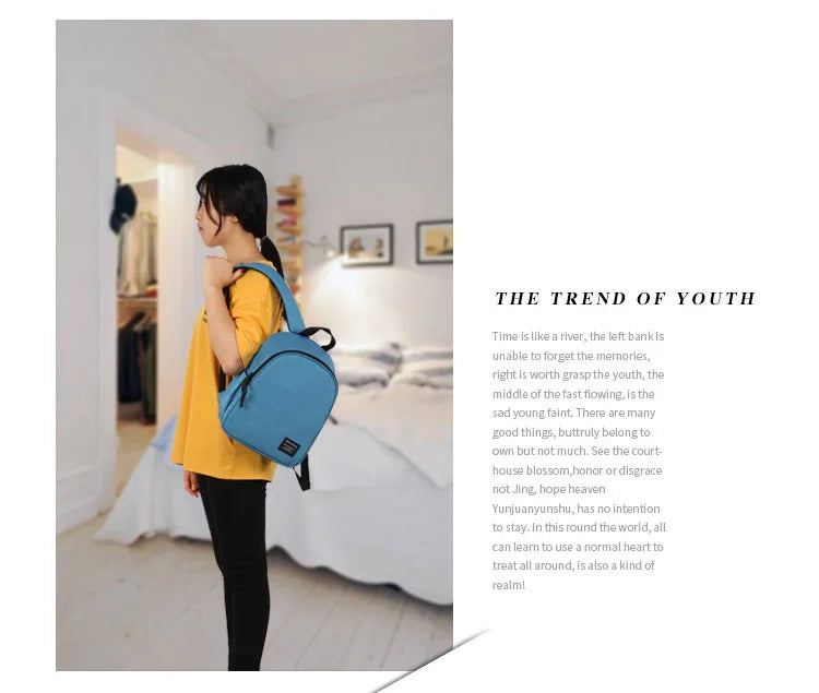 DENUONISS Small Thermal Cooler Backpack Mini Soft Toddler Backpack Cooler  Waterproof backpack cooler thermal insulated Bag