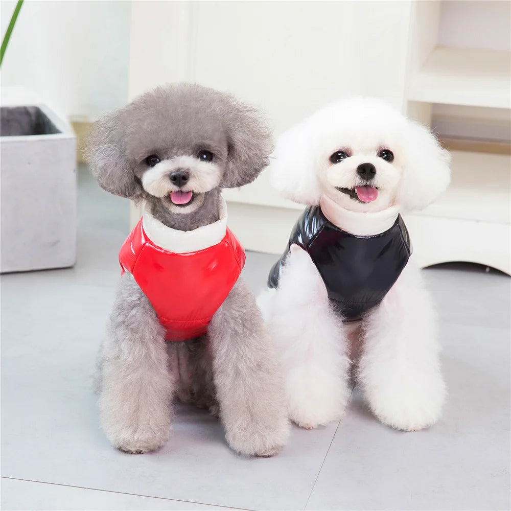 Pet Cats Dog Clothes Winter Warm Down Jacket For Small Dogs Cotton Chihuahua Hooded Clothes Dog Windproof Clothing Coat Apparel