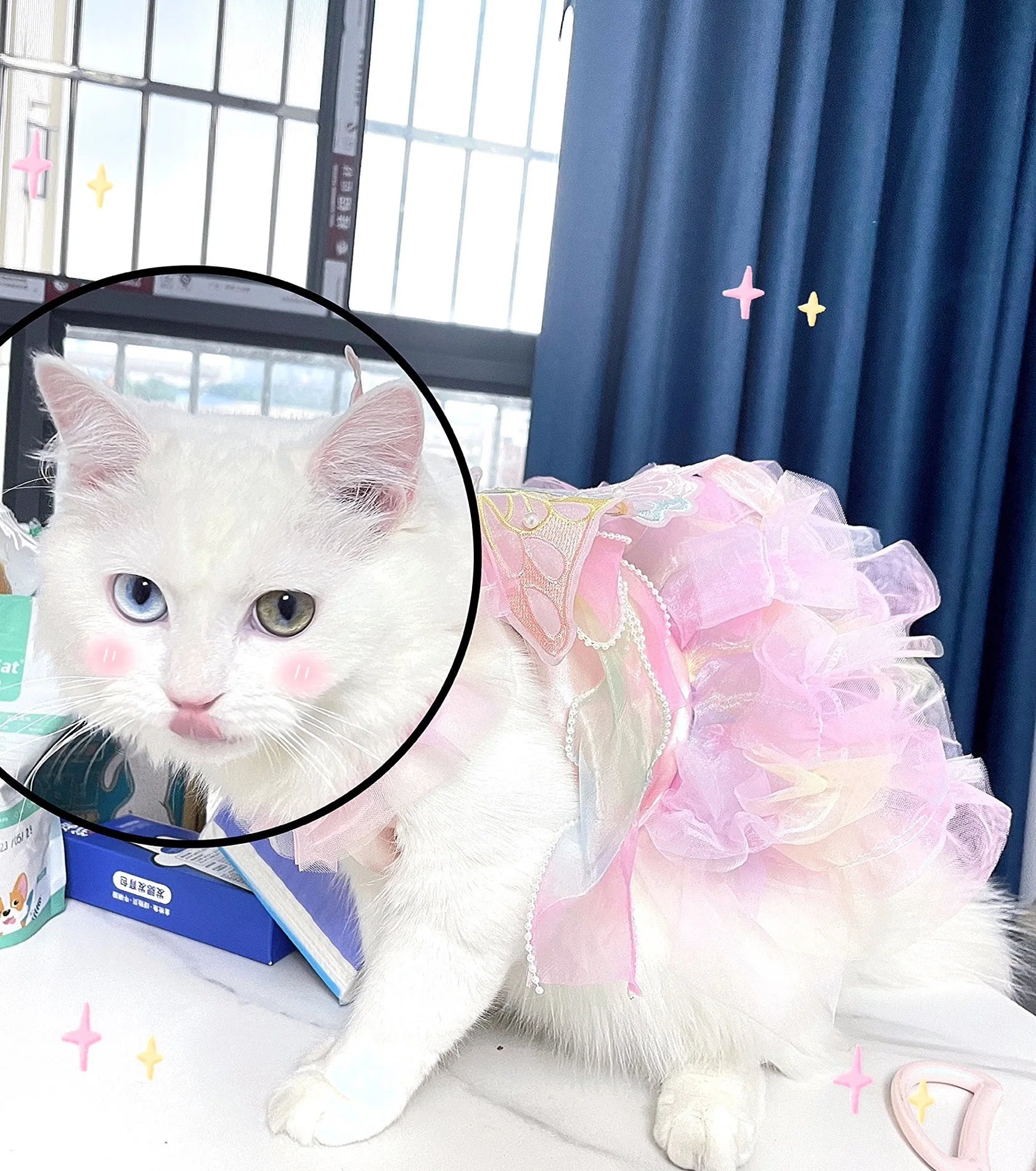 Dog Cat spring princess Dress Lace Skirt Pet Clothing Stripe Skirt Puppy Princess Apparel Cute Puppy Clothes Pet cat clothes