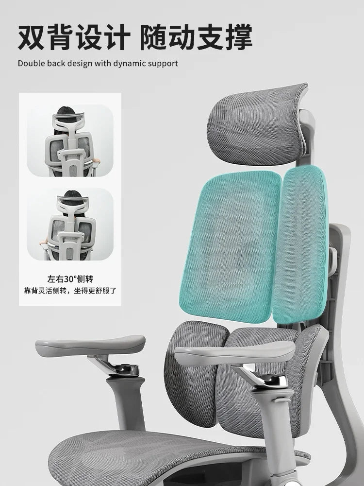 Ergonomic Lift Office Chair with Lumbar Support Household Gaming Esports Chair Household Computer Chair