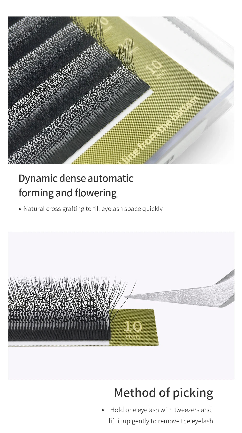 GLAMLASH 3D 4D 5D W Shaped Eyelash Lashes Easy Fan Eyelash Extensions Wholesales YY Premade Volume 12 Rows W Style Natural Soft