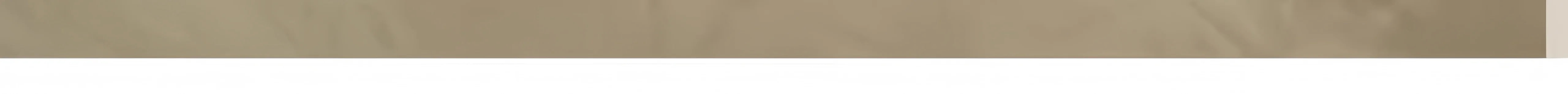 Cat Litter Mat Non Slip Big Pet Litter Box Filter Mat Double Layer Wear Resistant Waterproof Cat Litter Mat Pet Clean Supplies