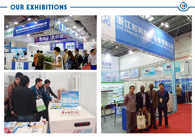 230L Four Degree Laboratory Fridge  Refrigerator Price