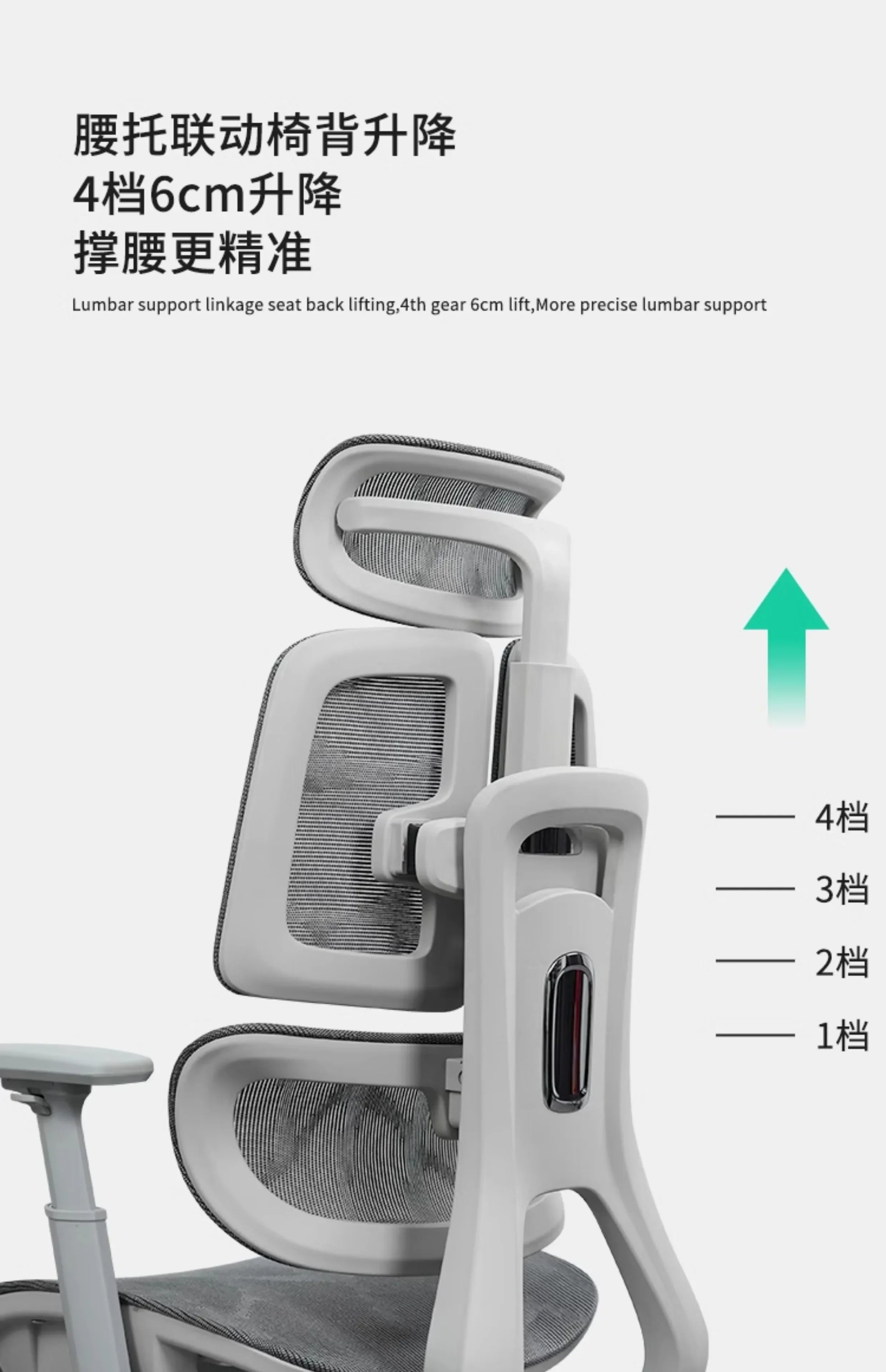 Ergonomic Lift Office Chair with Lumbar Support Household Gaming Esports Chair Household Computer Chair