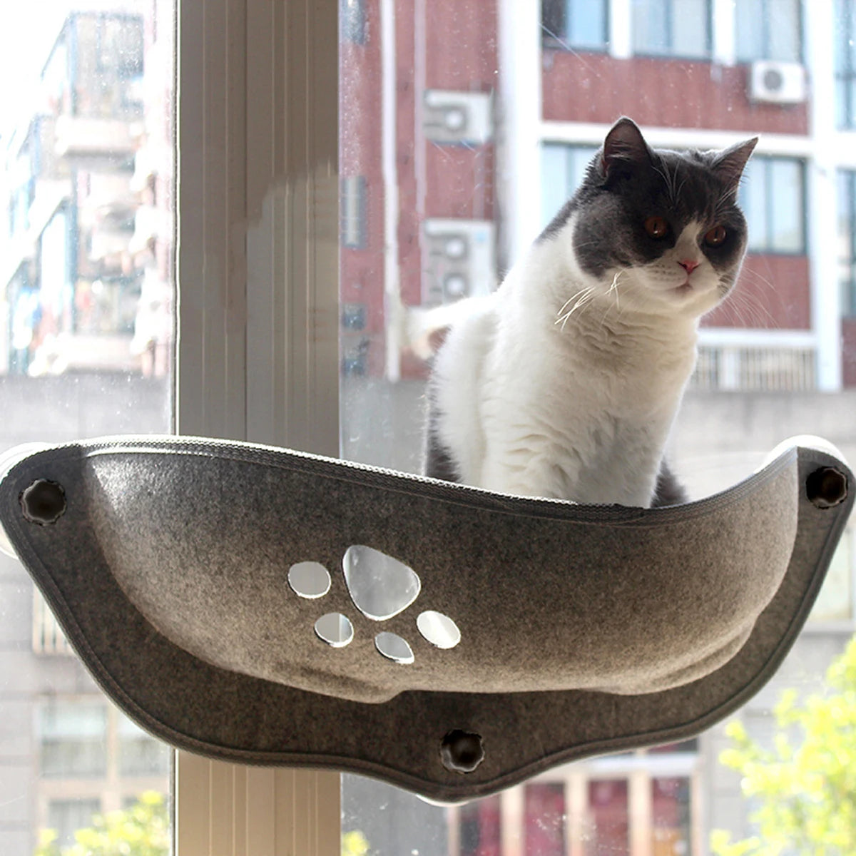 Hot Sale Pet Hammock Beds Bearing 20kg Cat Window Lounger Suction Hammock Pet Cat Window shelf Comfortable Cat Ferret Pet Bed