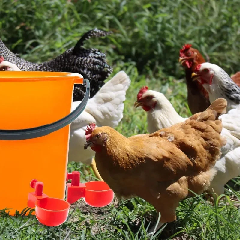 10/20/30Pcs Chicken Waterer Cups Chicken Feeder Cup for Chicken Duck Turkey Rabbit,3/8 Inch Thread Poultry Watering  Feeder
