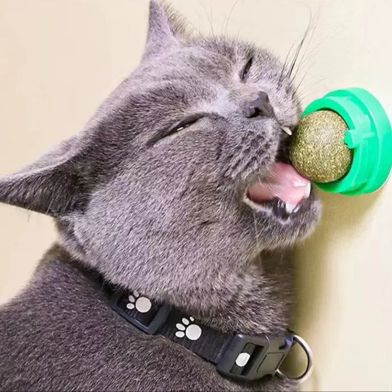 Cat Bite Ball Cat Toy Suitable for Kittens to Clean Teeth, Catnip Relieves Oral Health, Self Entertainment, Pet Chewable