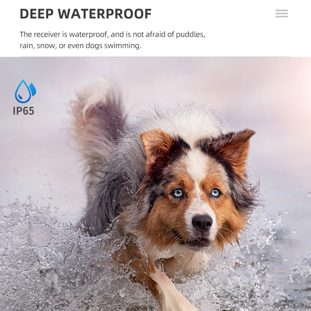 Sound Localization Collar For Hunting Dogs Beeper Dog Training Collar Waterproof Beeper Collars For Sports Training