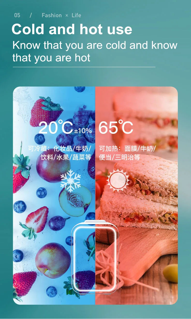 Home and Car Dual-Purpose Beauty Refrigerator With Touch Lamp Cosmetic Mirror Car Mini 4L Refrigerator Cosmetic Skin Care Produc